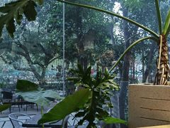 -谷咖啡·鲜花绿植花园餐厅