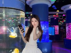 -重庆欢乐海底世界
