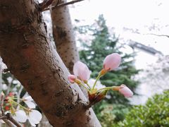 -堤角公园
