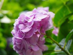 -常州古运河南大街文化旅游区-人民公园