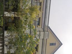 -美的鹭湖森林度假区