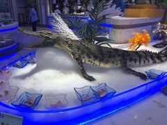 -澜悦港海鲜体验主题餐厅