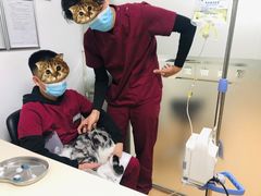 -宠颐生中康贝怡动物医院