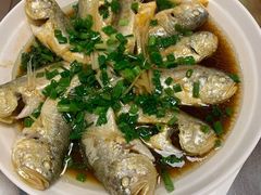 -福建美食城(老君堂店)