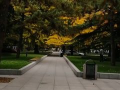 -中央民族大学