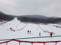 -五家山森林公园滑雪场