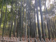 -杭州黄龙洞