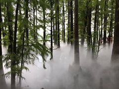 -东湖落雁景区