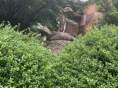 -藏龙百瀑风景区