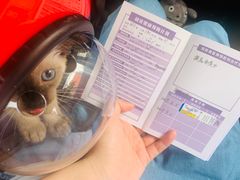 -瑞派福兴宠物医院犬猫全科·骨科·中西医结合(河东店)