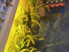 -王婆炒鱼(总店)