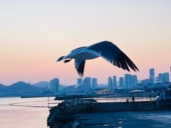 -星海广场