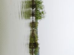 -焦岗湖旅游度假区