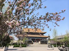 -大悲禅寺