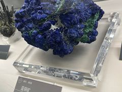 -中国地质博物馆