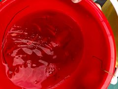 -第五季龙水凤港生态露营农场