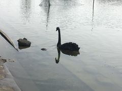 -同济大学(嘉定校区)