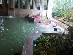 -鱼凫国都大酒店温泉