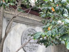 -清风小镇闯关东影视基地