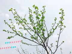 -楠溪江风景名胜区