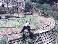-北大地皖峰饭馆