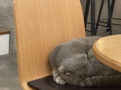 -You’ll see coffee 咖啡