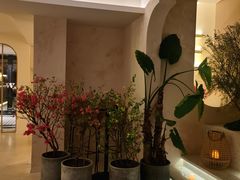 -HUATA 'Holiday Plan 花榻