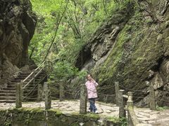 -牛背梁国家森林公园