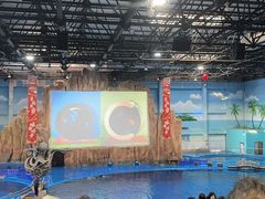 -华夏文旅海洋公园