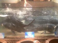 -上名堂·鱼头好吃(体育场路店)