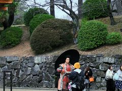 -名古屋城