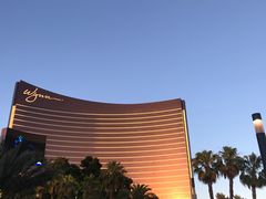 -拉斯维加斯永利酒店