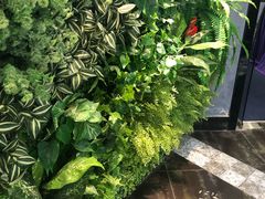 -水森林·按摩SPA·美食韩式汗蒸水会(国贸E口店)