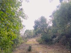 -平湖九龙山旅游度假区
