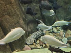 -成都浩海立方海洋公园