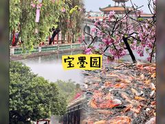 -宝墨园景区