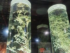 -广东中医药博物馆