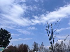 -大理洱海