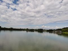 -大兴滨河森林公园