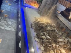 -圣罗巴海鲜烤肉自助(佳兆业店)