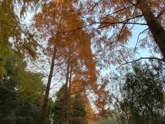 -苏州河梦清园环保主题公园