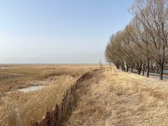 -野鸭湖国家湿地公园