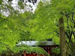 -三千院