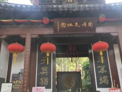 -杭州黄龙洞
