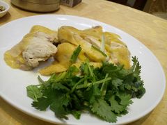 -瑞记湛江鸡饭店·粤西第一鸡(粤垦店)