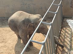 -西霞口神雕山野生动物世界