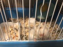 -乐宠宠物店(世纪金源店)