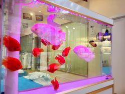 -痘庄科学祛痘国际连锁机构