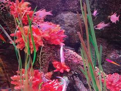 -沈阳海洋探索中心