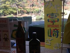 -日本大使馆-新闻文化中心
